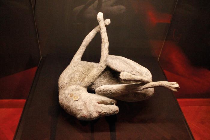 Pompeji pusztulásakor elhullott kutya gipszöntvénye (másolat), Nápolyi Nemzeti Régészeti Múzeum © Móra Ferenc Múzeum Fotó: Hegedűs Anita