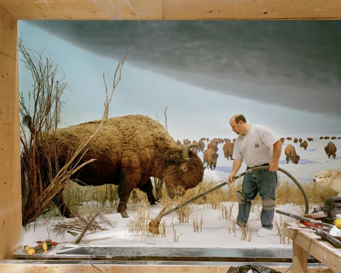 Richard Barnes: Férfi bölénnyel, 2007, print, 137,16 x 167,64 cm © A művész jóvoltából