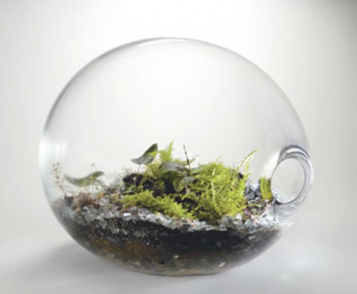 Paula Hayes: Gömb terrárium T099, 2008, fújt üveg, miniatűr növények, organikus táptalaj, 66 x 53,3 x 45,7 cm © Fotó: Eva Heyd