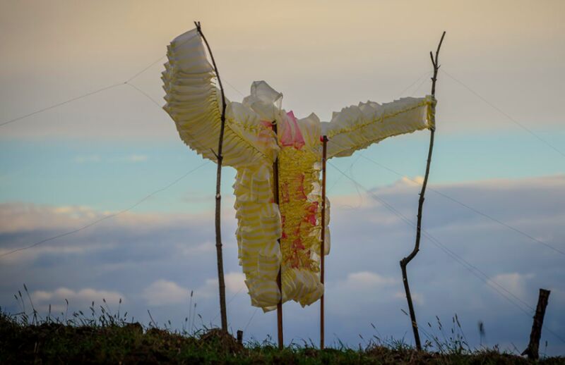 full_005624.png