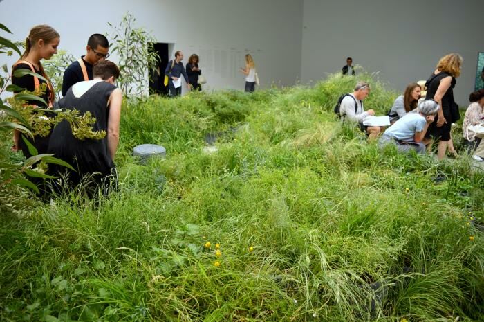 05velencei_epiteszeti_biennale_2018.jpeg