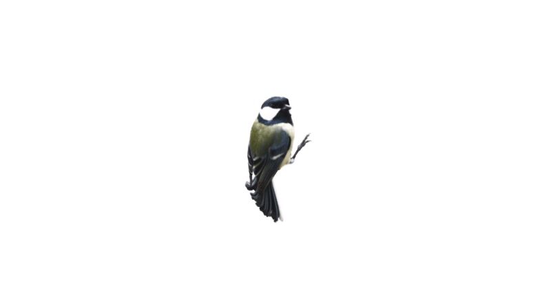 full_004455.png