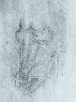 full_000774.jpg