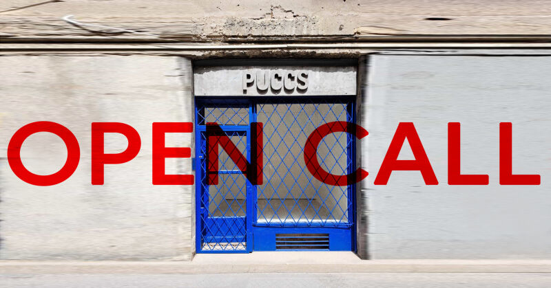 OPEN CALL_PUCCS.jpg