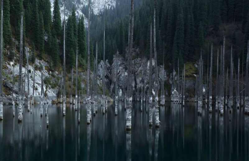 full_005741.png
