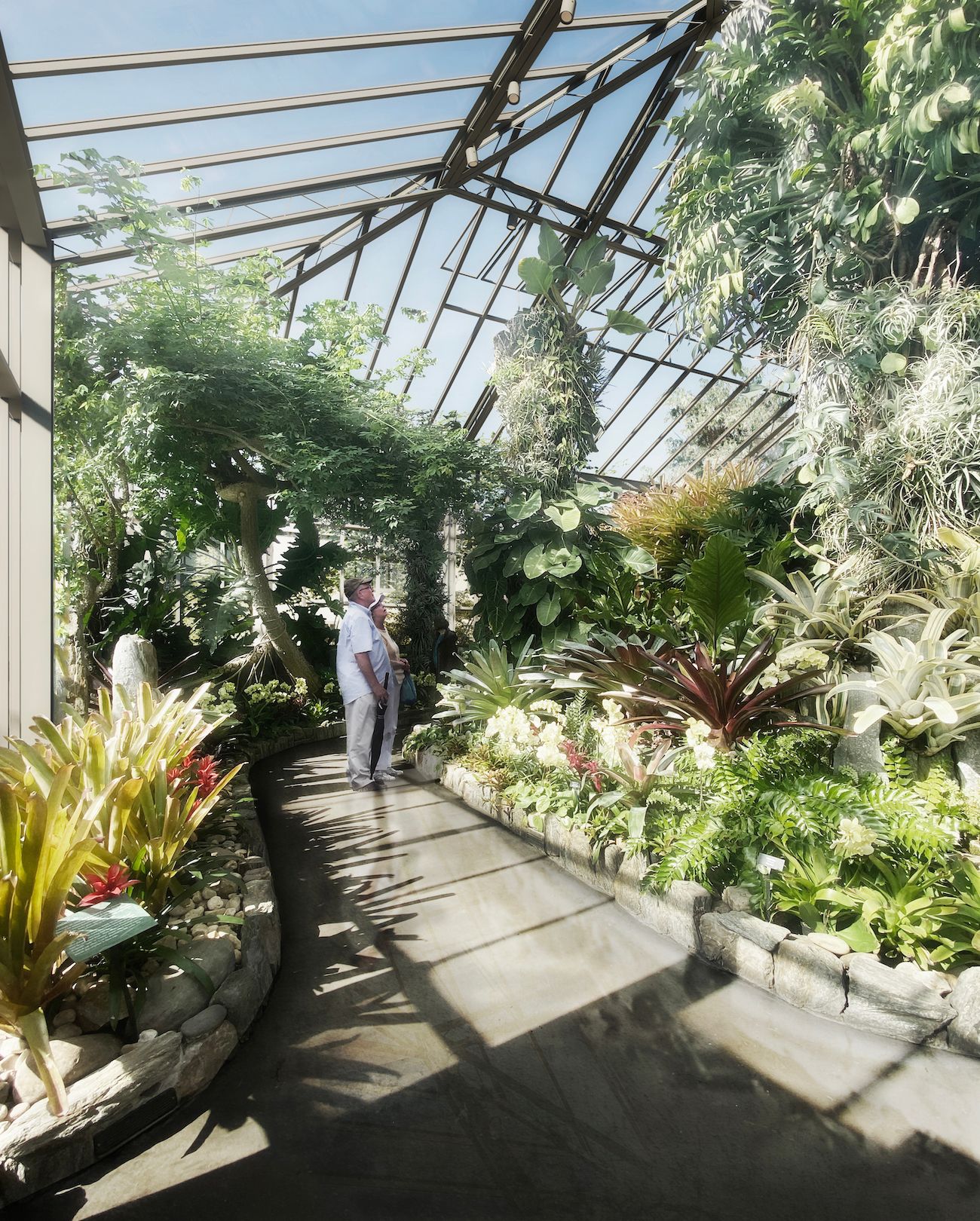 07 new glass house for historic roberto burle marx cascade garden