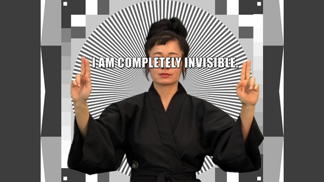 Hito Steyerl, HOW NOT TO BE SEEN A Fucking Didactic Educational .Mov File, 2013