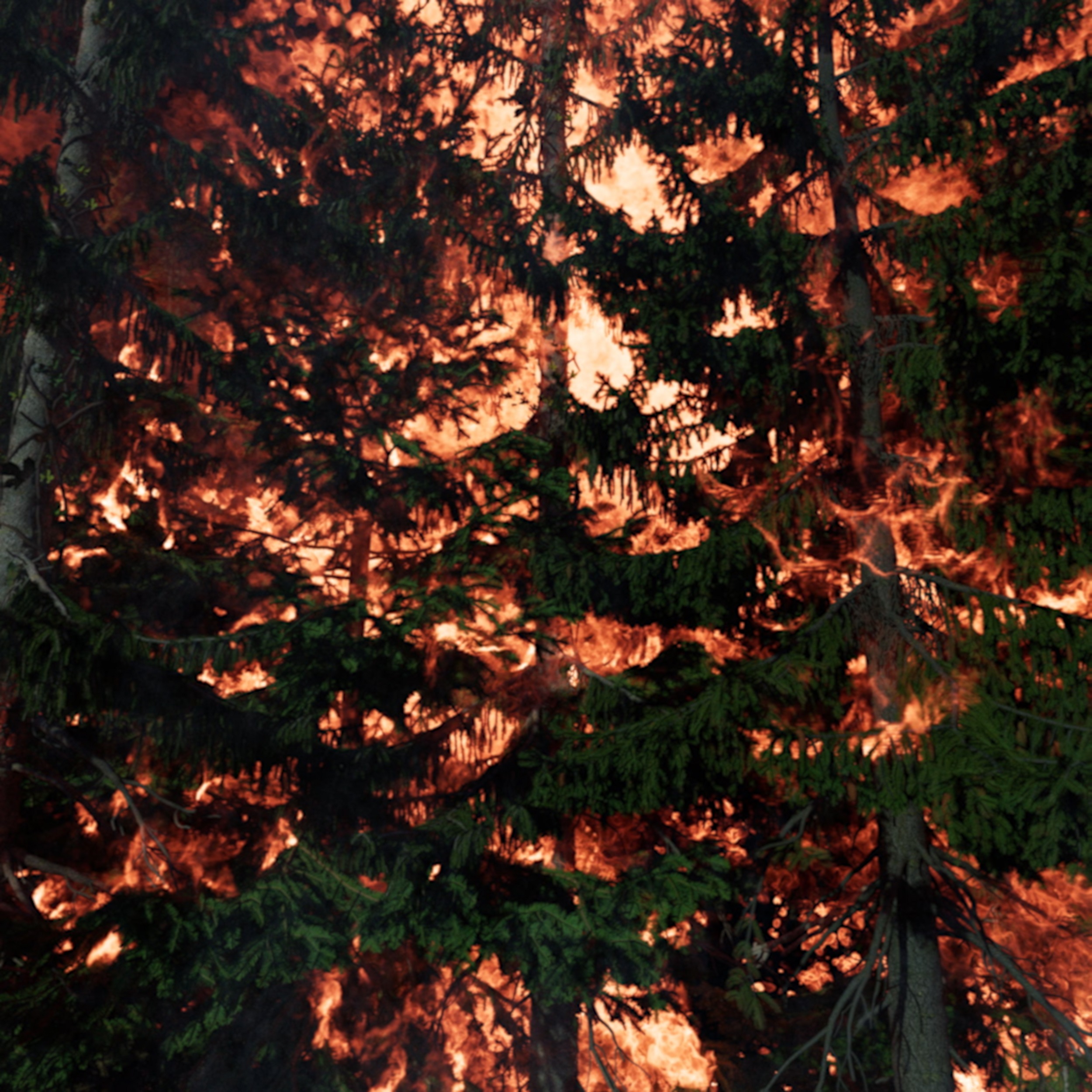 David Claerbout: Futótűz (merengés a tűzön) | Wildfire (meditation on fire), 2019–2020 © David Claerbout